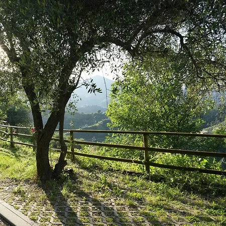 Creuza De Legna Konukevi Levanto